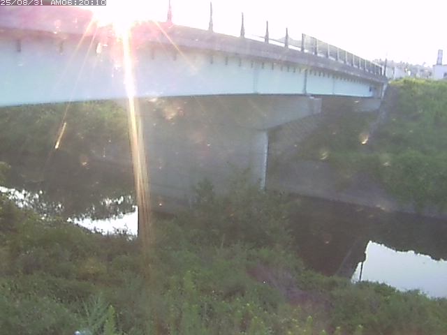 野坂川１2025/08/31 9:10:00