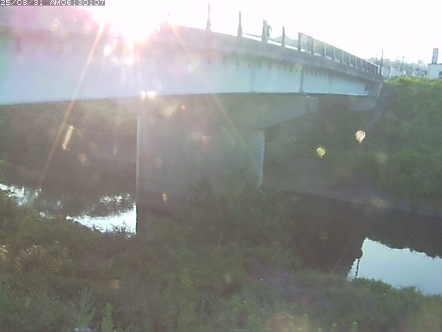 野坂川１2025/08/31 9:10:00