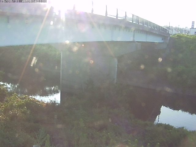 野坂川１2025/08/31 9:10:00