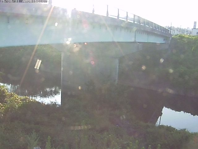野坂川１2025/08/31 9:10:00