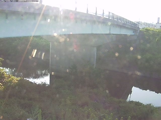 野坂川１2025/08/31 9:10:00