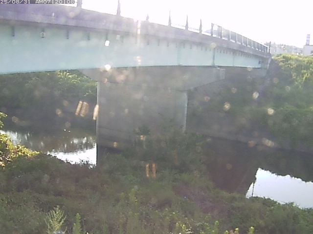 野坂川１2025/08/31 9:10:00