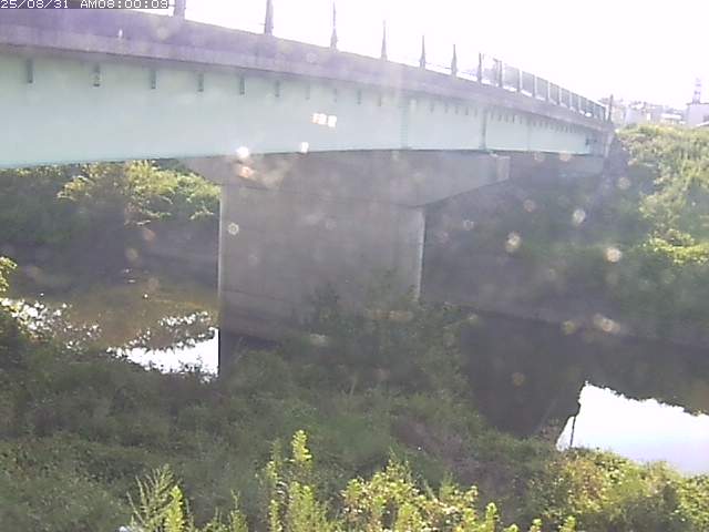 野坂川１2025/08/31 9:10:00