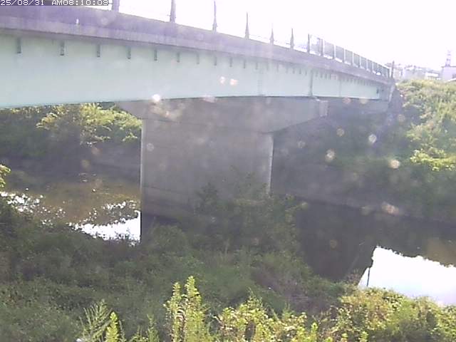 野坂川１2025/08/31 9:10:00