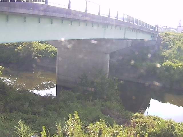 野坂川１2025/08/31 9:10:00
