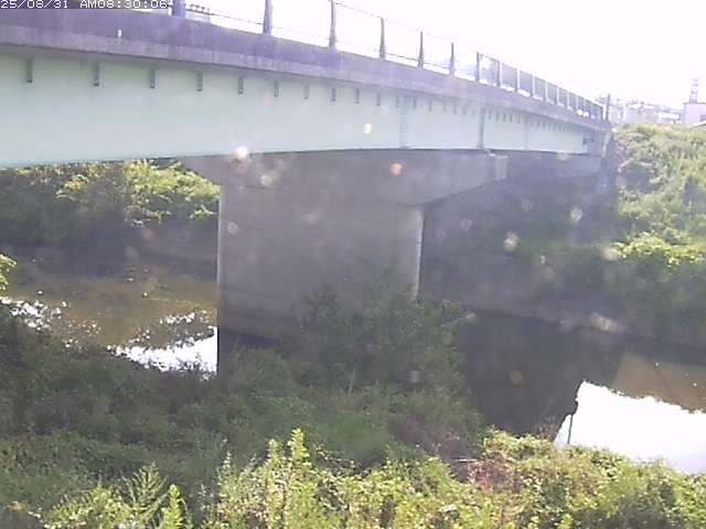 野坂川１2025/08/31 9:10:00
