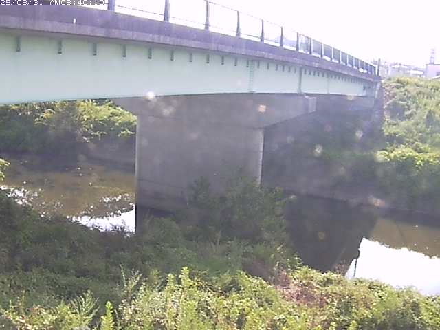 野坂川１2025/08/31 9:10:00