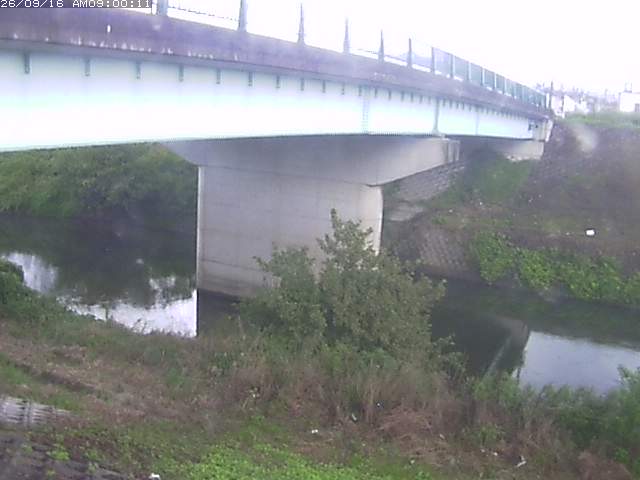 野坂川１2026/09/16 16:40:00