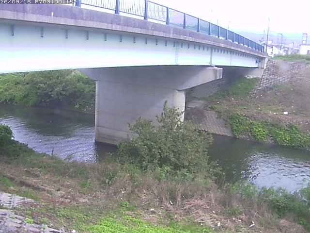 野坂川１2026/09/16 16:40:00