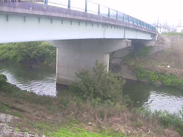 野坂川１2026/09/16 16:40:00