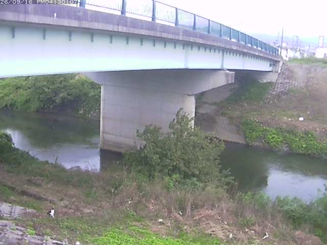 野坂川１2026/09/16 16:40:00