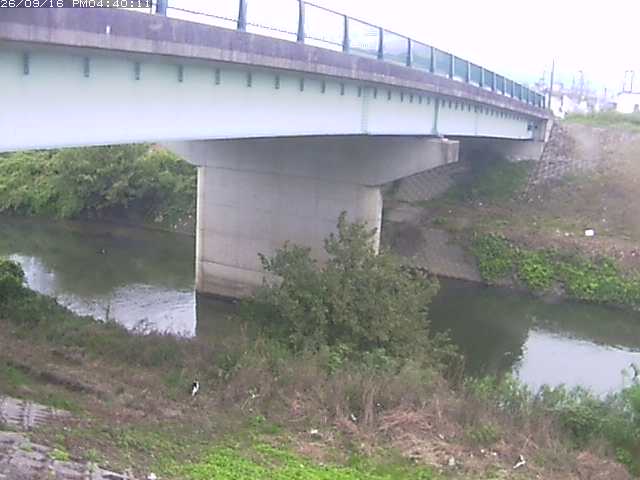 野坂川１2026/09/16 16:40:00