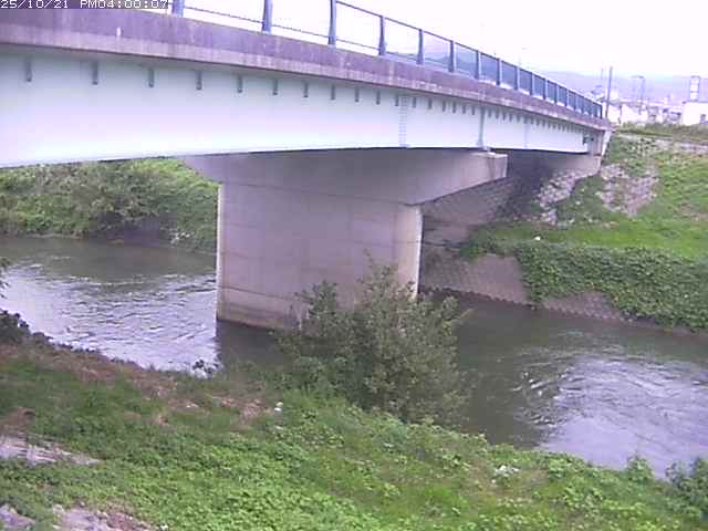 野坂川１2025/10/22 11:30:00