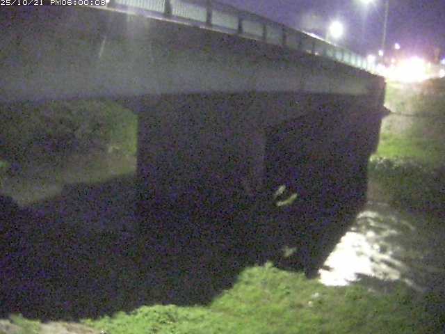 野坂川１2025/10/22 11:30:00