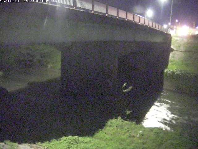 野坂川１2025/10/22 11:30:00