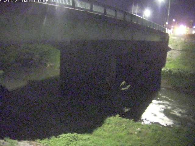 野坂川１2025/10/22 11:30:00