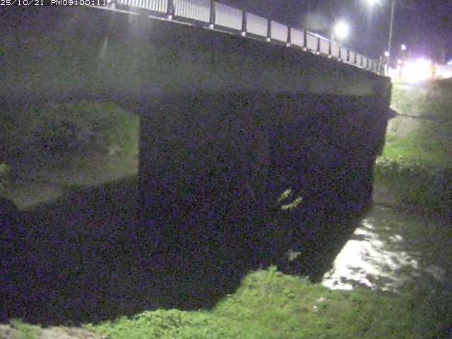 野坂川１2025/10/22 11:30:00