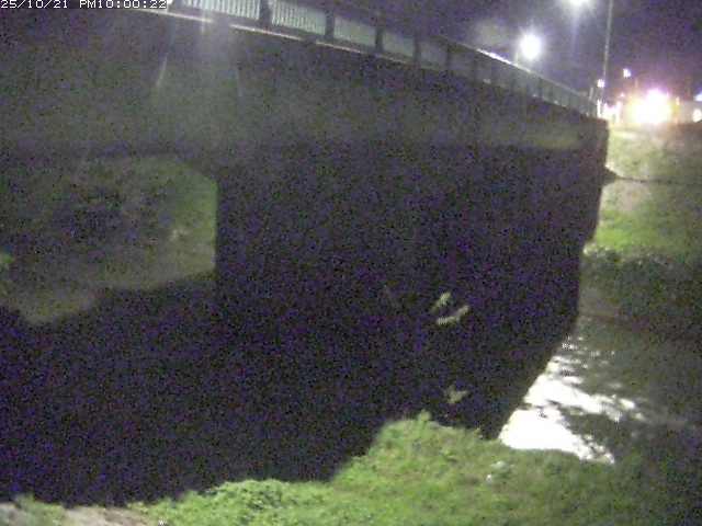 野坂川１2025/10/22 11:30:00