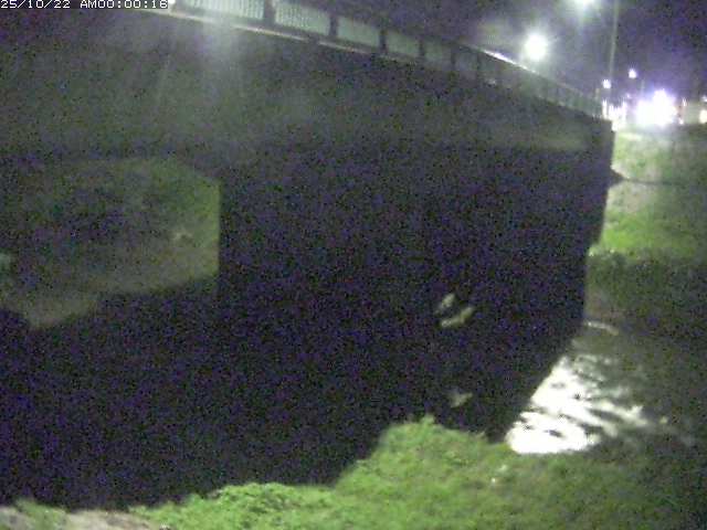 野坂川１2025/10/22 11:30:00