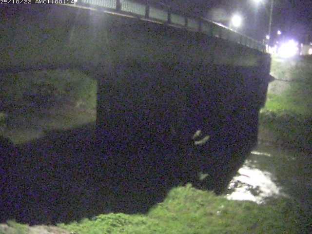 野坂川１2025/10/22 11:30:00