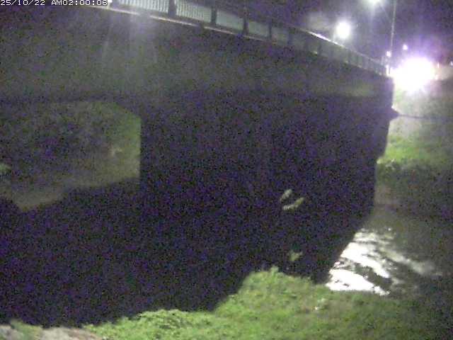 野坂川１2025/10/22 11:30:00