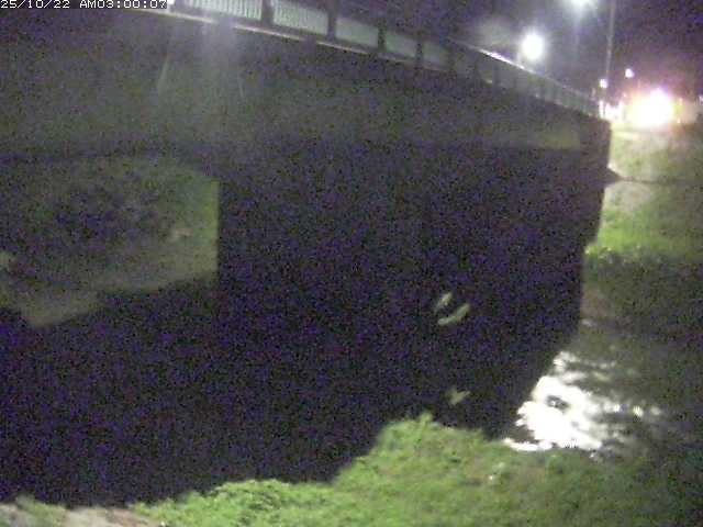 野坂川１2025/10/22 11:30:00