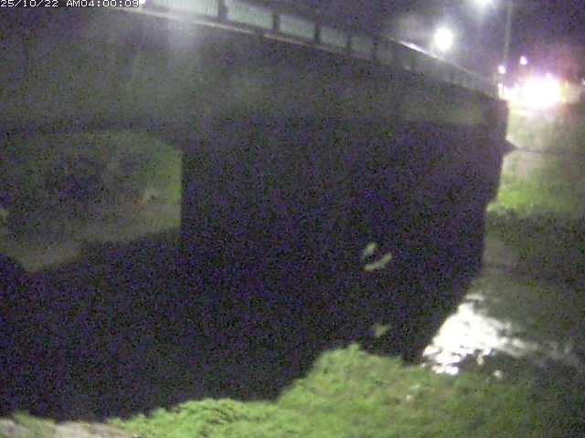 野坂川１2025/10/22 11:30:00