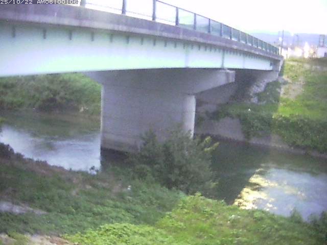 野坂川１2025/10/22 11:30:00