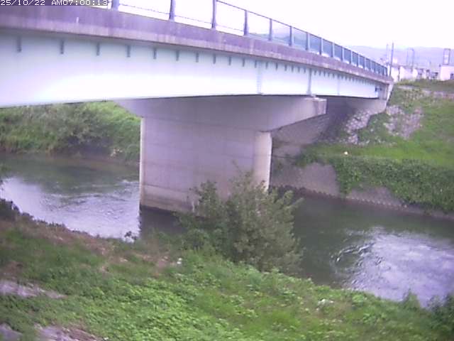 野坂川１2025/10/22 11:30:00