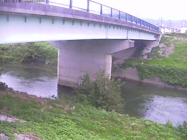野坂川１2025/10/22 11:30:00