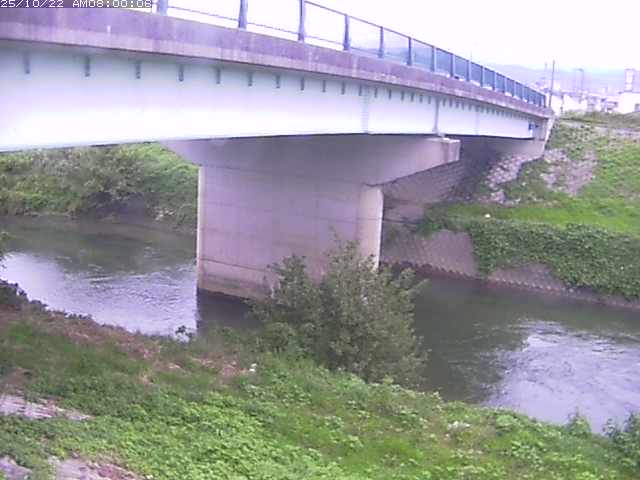 野坂川１2025/10/22 11:30:00