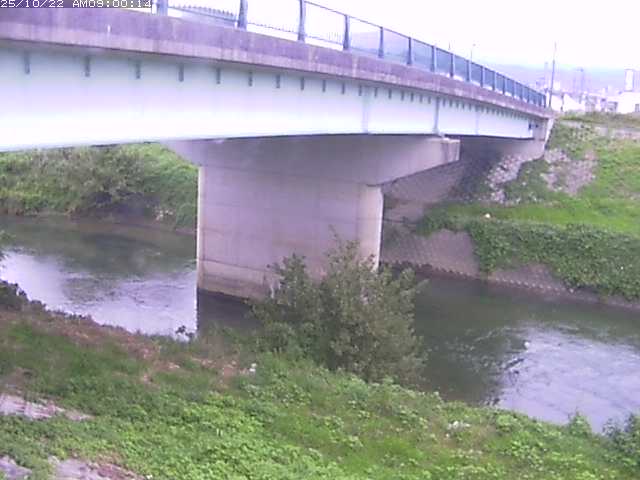 野坂川１2025/10/22 11:30:00