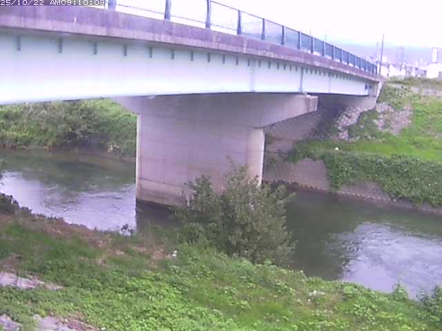 野坂川１2025/10/22 11:30:00