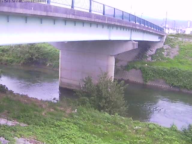 野坂川１2025/10/22 11:30:00