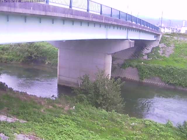 野坂川１2025/10/22 11:30:00