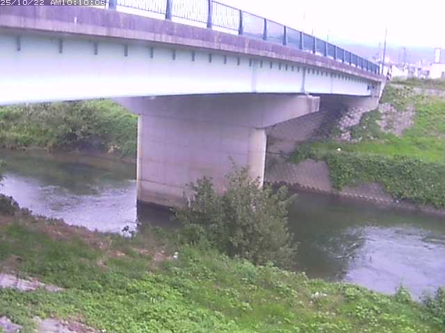 野坂川１2025/10/22 11:30:00