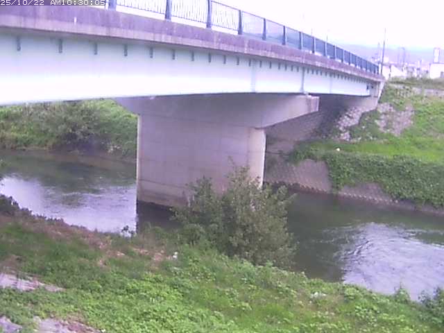 野坂川１2025/10/22 11:30:00