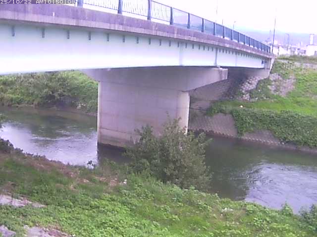 野坂川１2025/10/22 11:30:00