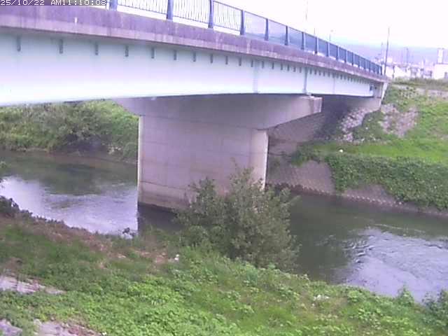 野坂川１2025/10/22 11:30:00