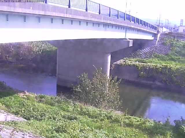 野坂川１2025/12/08 11:30:00