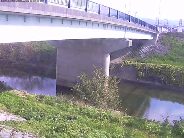 野坂川１2025/12/08 11:30:00