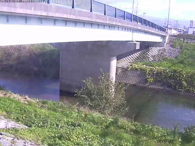 野坂川１2025/12/08 11:30:00