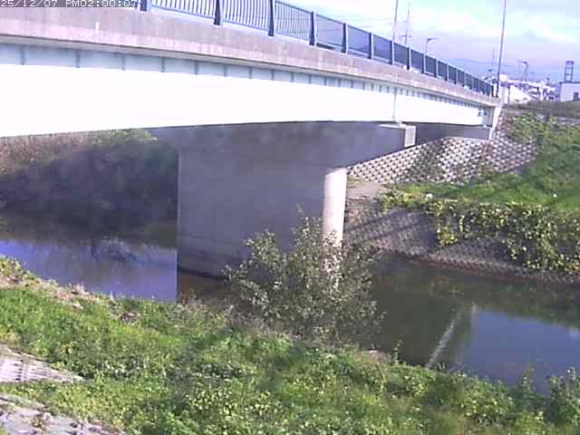 野坂川１2025/12/08 11:30:00