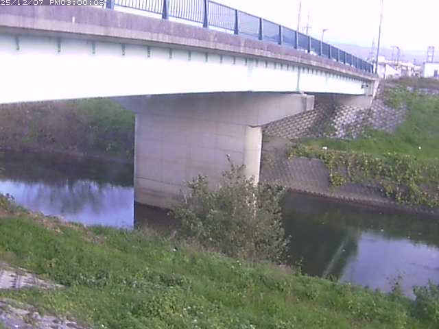 野坂川１2025/12/08 11:30:00