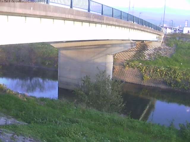 野坂川１2025/12/08 11:30:00