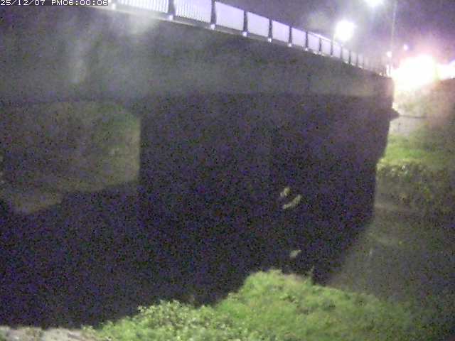 野坂川１2025/12/08 11:30:00