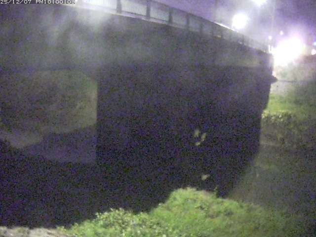 野坂川１2025/12/08 11:30:00