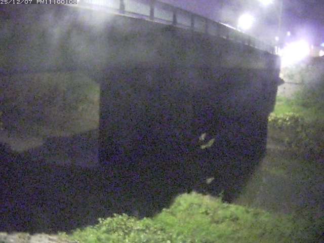 野坂川１2025/12/08 11:30:00