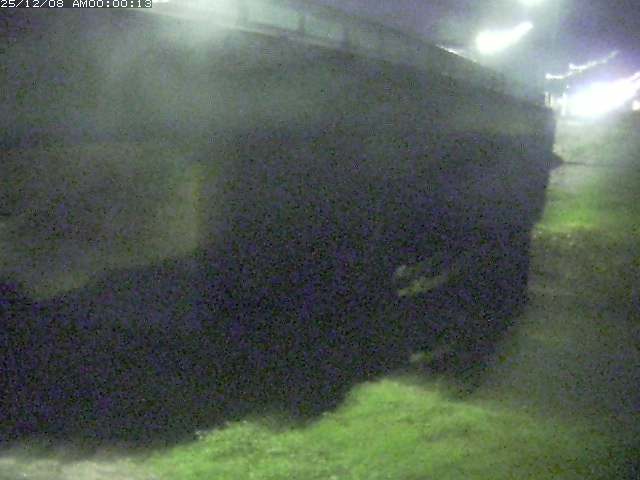 野坂川１2025/12/08 11:30:00