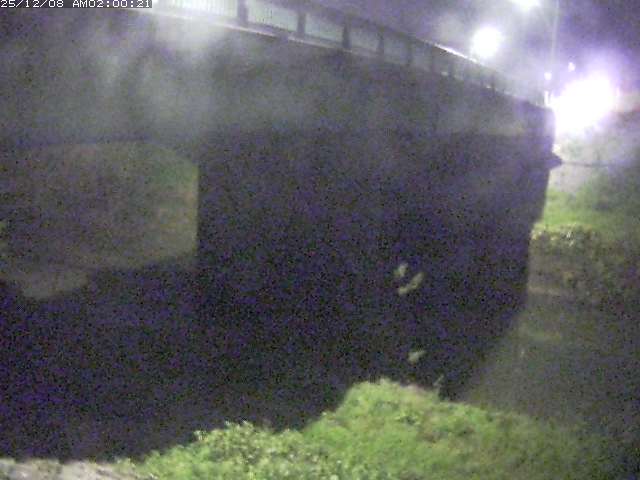 野坂川１2025/12/08 11:30:00